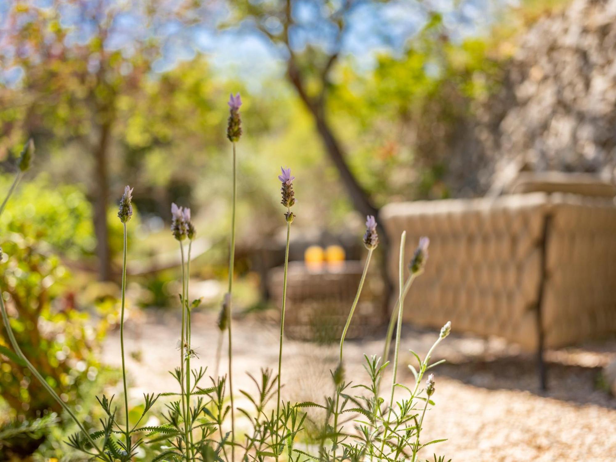 Villa Finca Bella Roca